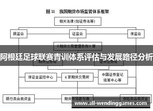 阿根廷足球联赛青训体系评估与发展路径分析