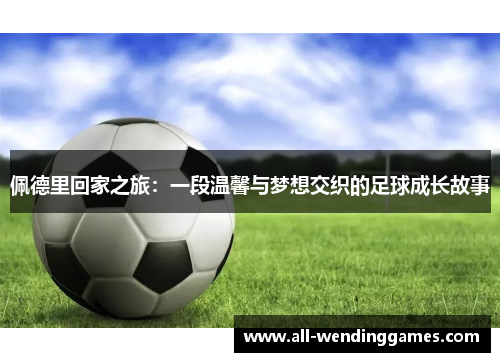 佩德里回家之旅：一段温馨与梦想交织的足球成长故事