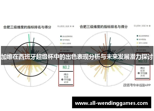 加维在西班牙超级杯中的出色表现分析与未来发展潜力探讨