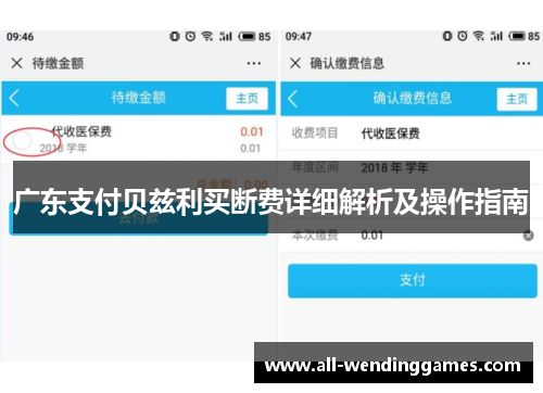 广东支付贝兹利买断费详细解析及操作指南