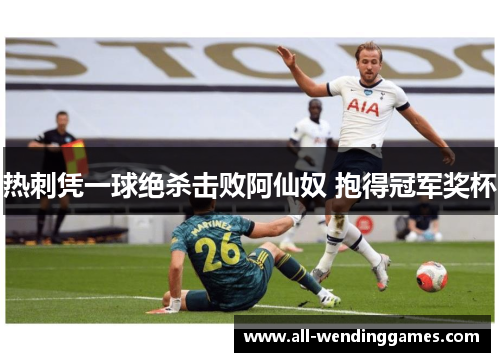 热刺凭一球绝杀击败阿仙奴 抱得冠军奖杯