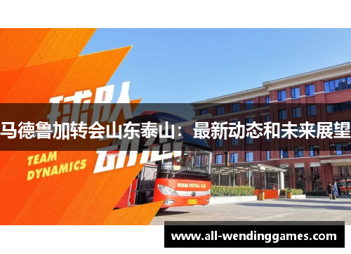 马德鲁加转会山东泰山：最新动态和未来展望