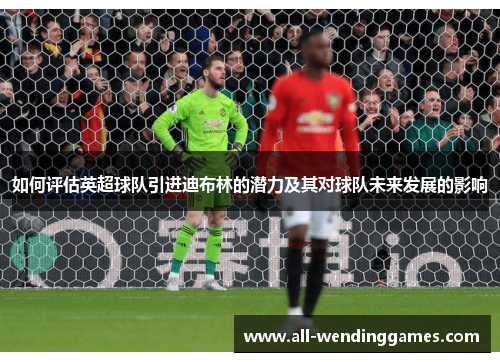 如何评估英超球队引进迪布林的潜力及其对球队未来发展的影响