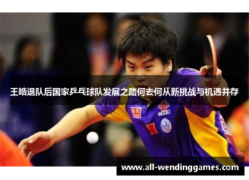 王皓退队后国家乒乓球队发展之路何去何从新挑战与机遇并存